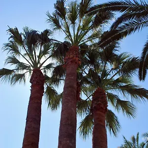 Les Palmeres Castell-Platja d'Aro